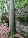 2019-07-27 - 12-41-50 - fränkische schweiz
